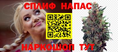 сатива Донецк