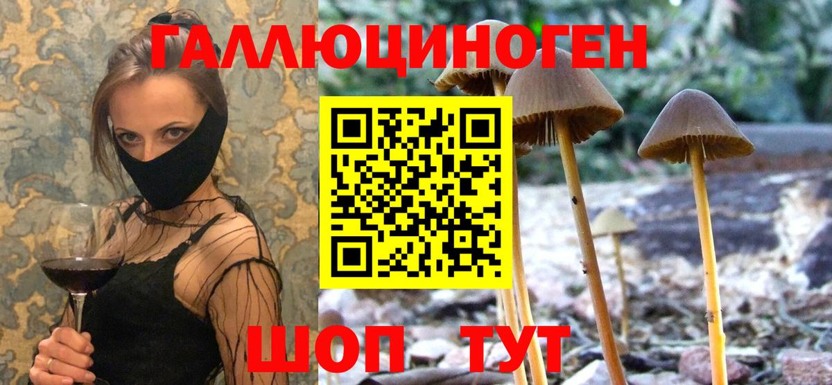 Псилоцибиновые грибы мицелий Михайловск