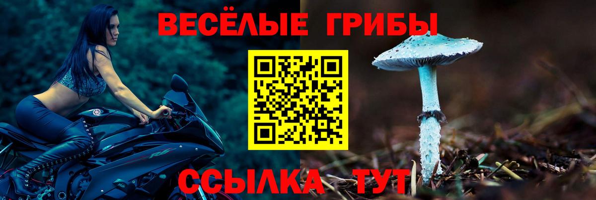 Псилоцибиновые грибы GOLDEN TEACHER  Вход с VPN  Михайловск 
